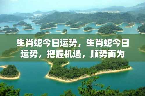 生肖蛇今日运势详解，把握机遇，顺势而为的策略