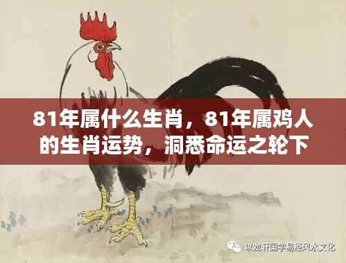 小鸟伊人 第6页