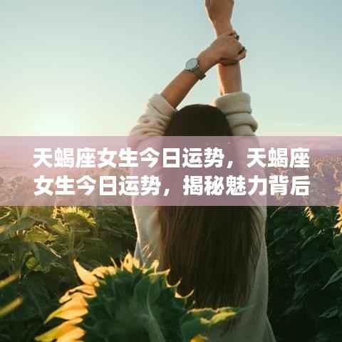 天蝎座女生今日运势揭秘，魅力与运势走向的背后故事