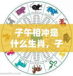 子午相冲生肖揭秘，运势影响与生肖解析