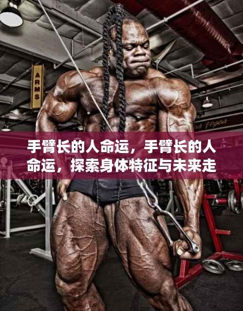 身体特征揭秘，手臂长度与命运走向的奇妙关联探索