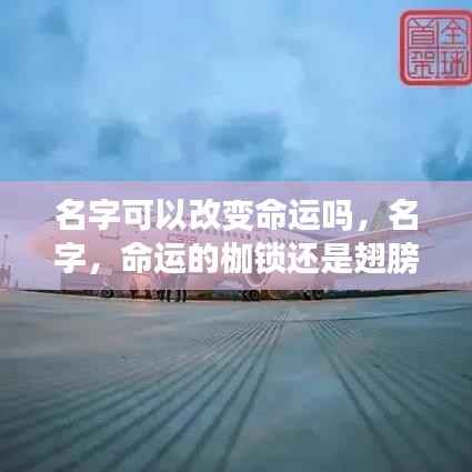 名字，是命运的枷锁还是飞翔的翅膀？——探究名字对命运的影响