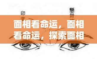 面相与命运的微妙联系，探索面相在人生轨迹中的影响