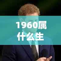 揭秘生肖运势，1960年属鼠人的机遇与挑战与命运之轮揭秘