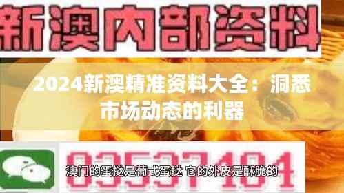 2024新澳精准资料大全：洞悉市场动态的利器