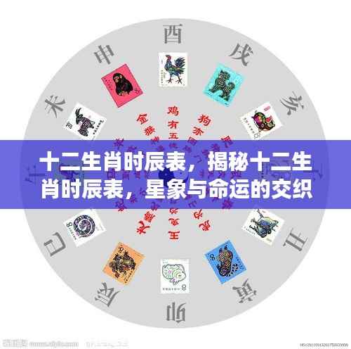 揭秘十二生肖时辰表，星象与命运的神秘交织点