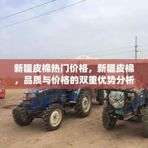 新疆皮棉，品质与价格的双重优势解析及热门价格一览