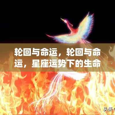 星座运势下的生命轨迹，轮回与命运的交织之路