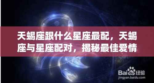 揭秘天蝎座的最佳星座配对，寻找爱情的最佳组合