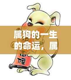 属狗人一生运势深度解析，命运轨迹与幸运展望