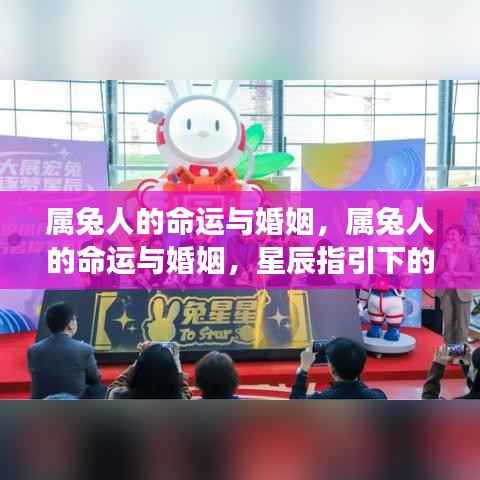 属兔人的命运与婚姻，星辰指引下的缘分展望及未来展望