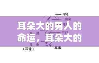 耳朵大的男人命运之星，解读星象与人生轨迹的交融之谜
