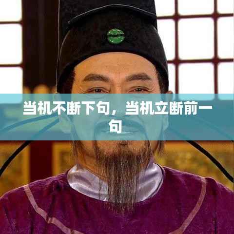 当机不断下句，当机立断前一句 