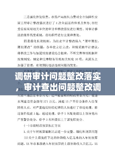 调研审计问题整改落实，审计查出问题整改调研报告 