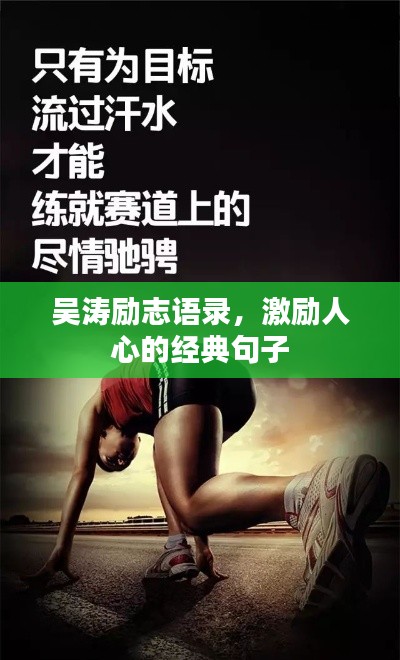 吴涛励志语录，激励人心的经典句子